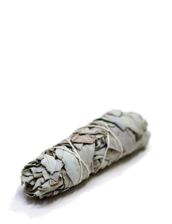 Californian White Sage Smudge Stick Ume